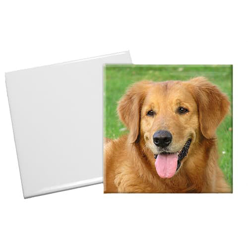 Ceramic Slate Tiles - Custom Printing Ceramic Tiles