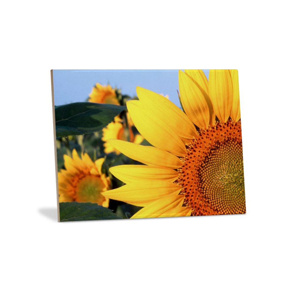 Ceramic Slate Tiles - Custom Printing Ceramic Tiles